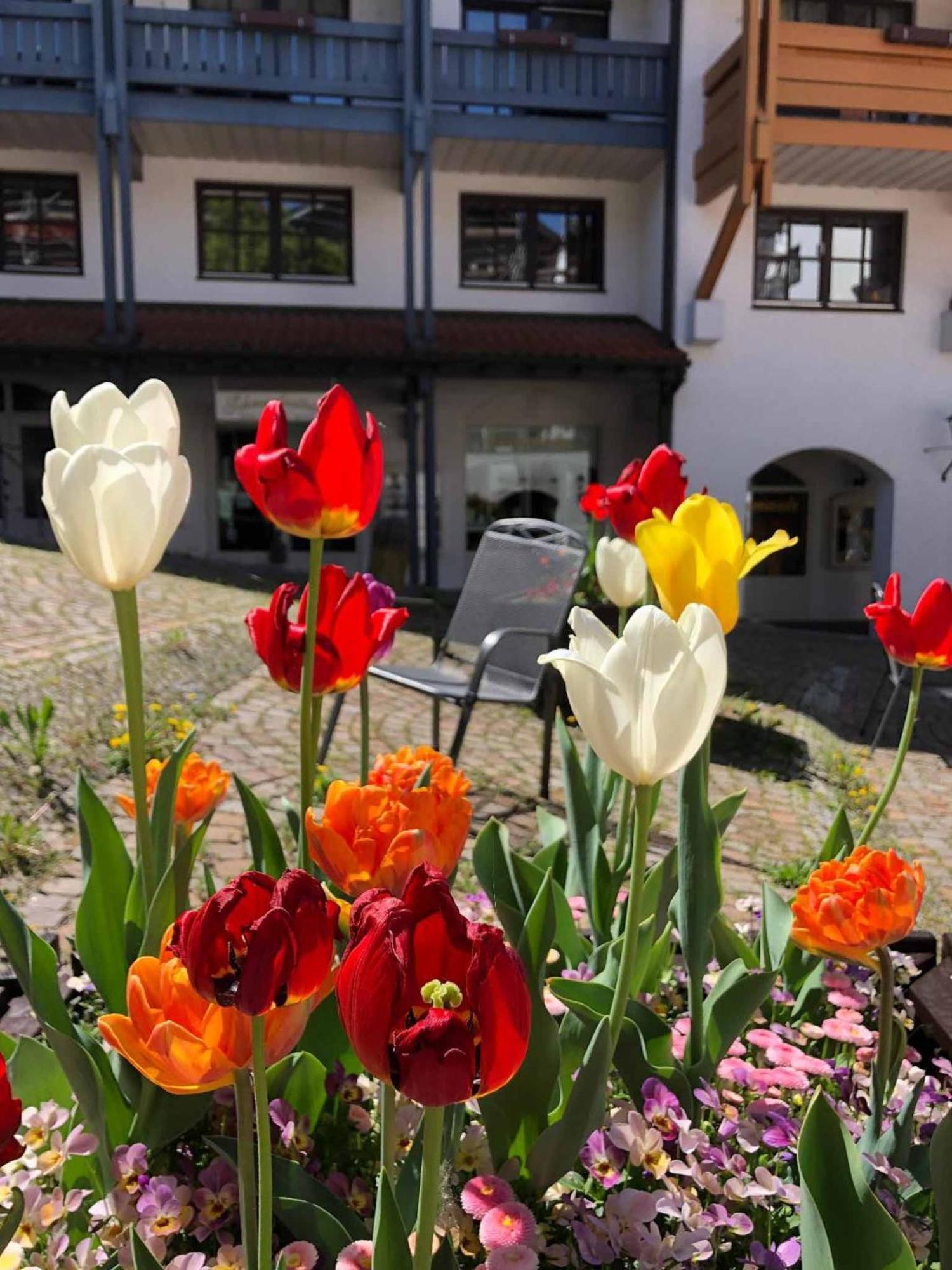 Appartement Am Brunnenplatzl Mit Bademantelzugang Bad Griesbach  Luaran gambar